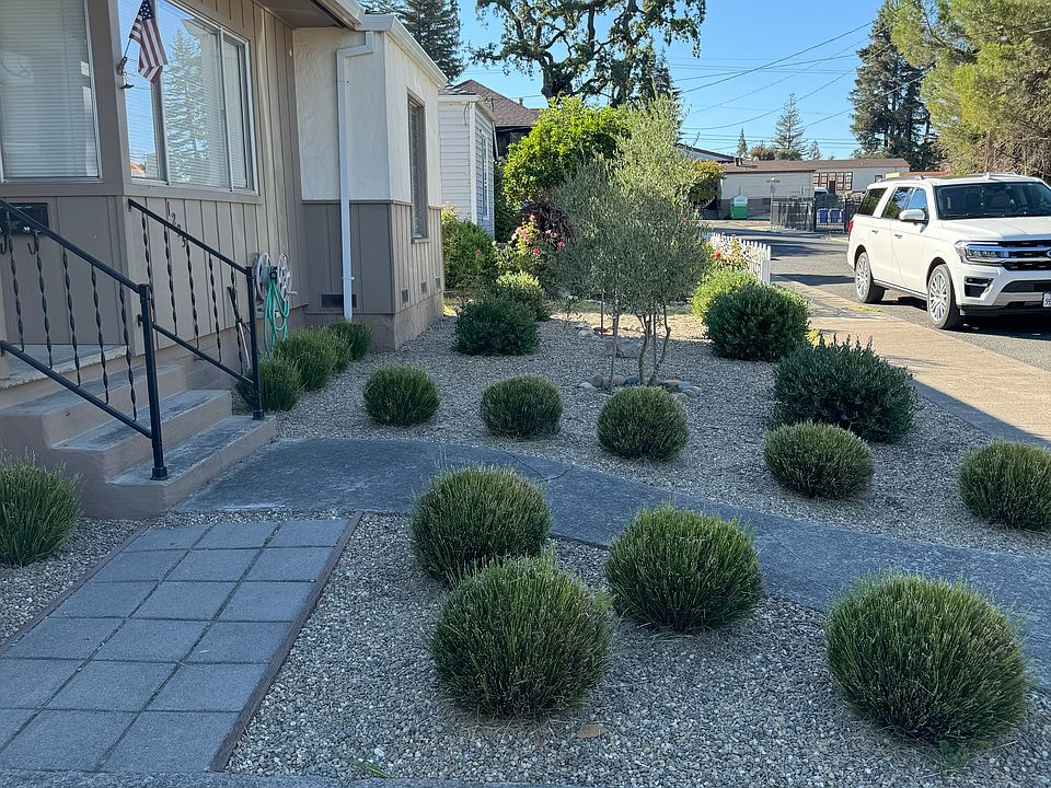 Low-maintenance front landscaping