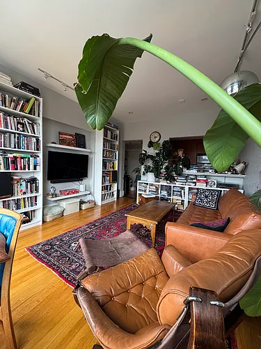 492 Massachusetts Ave #51 Photo 1