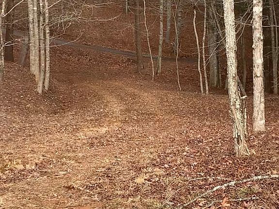 2nd image of 16 Merlin Trail