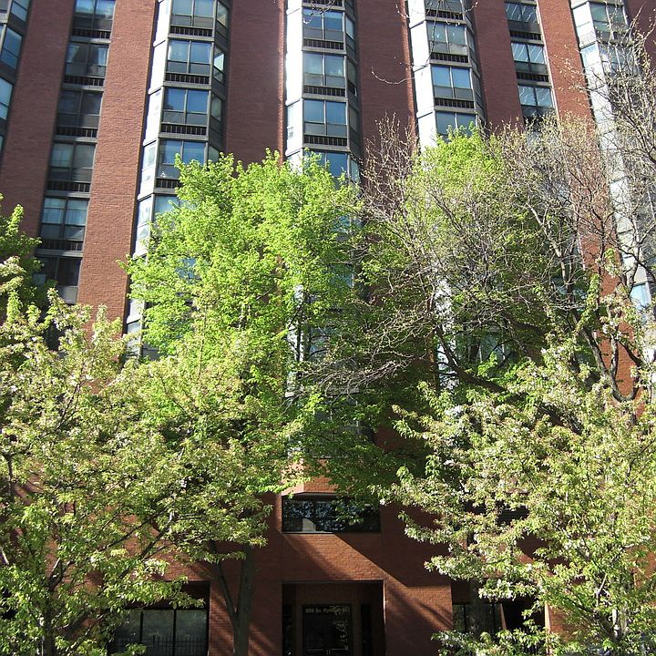 1st image of 899 S Plymouth Ct APT 1602