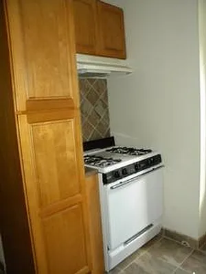 Rented by Urban Realty NYC | media 42