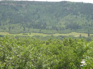 1086 Colt Cir, Castle Rock, CO 80109