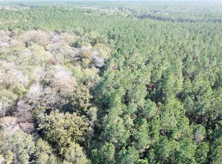 0 Fm 770 Rd, Kountze, TX 77625