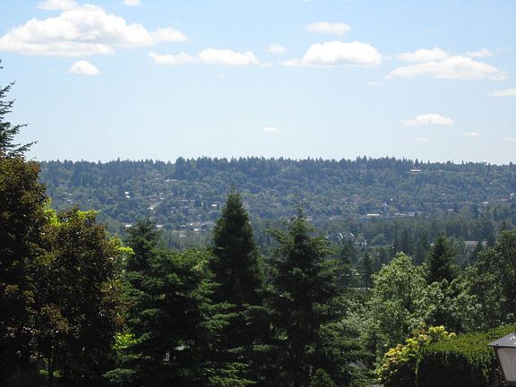 View From Living Room