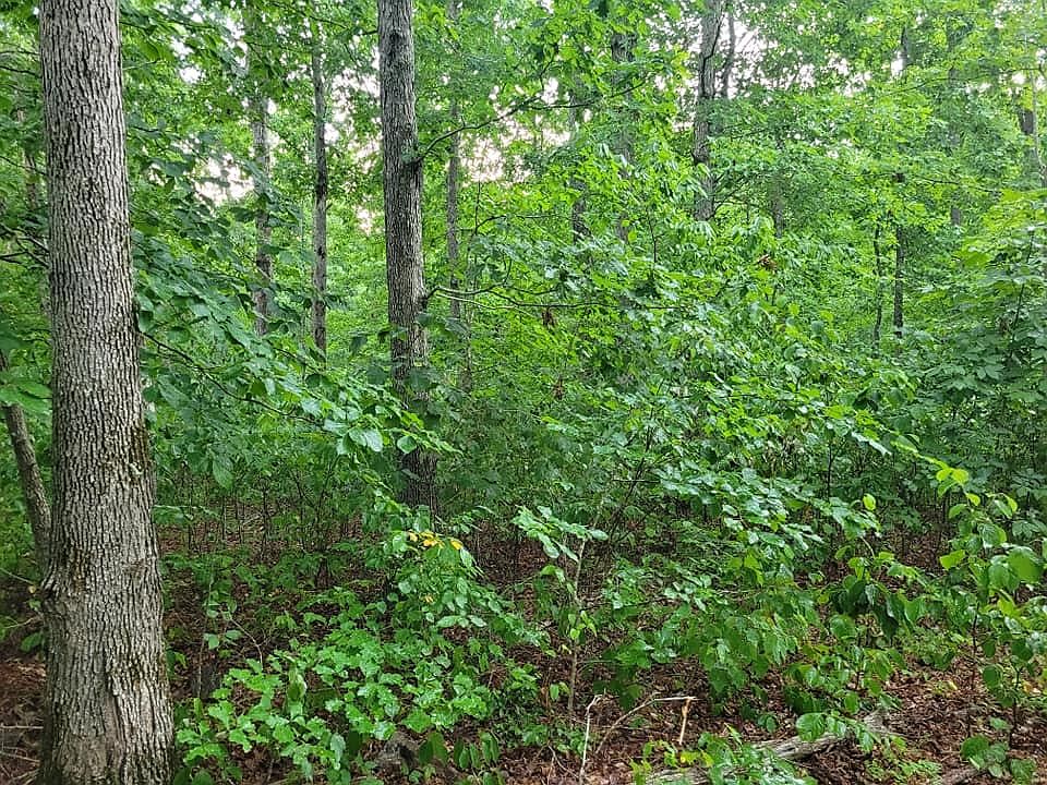 1st image of 2 Haley Rd Lot 2