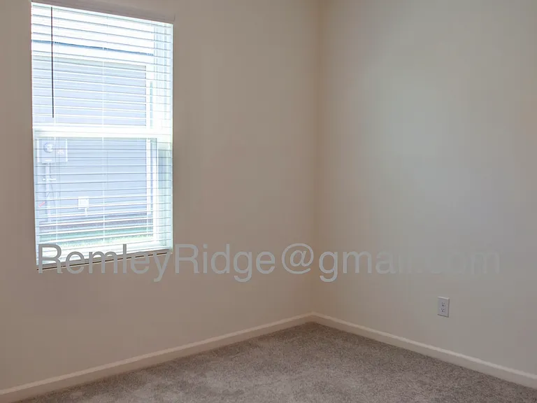 5328 Remley Ridge Way — Photo 12