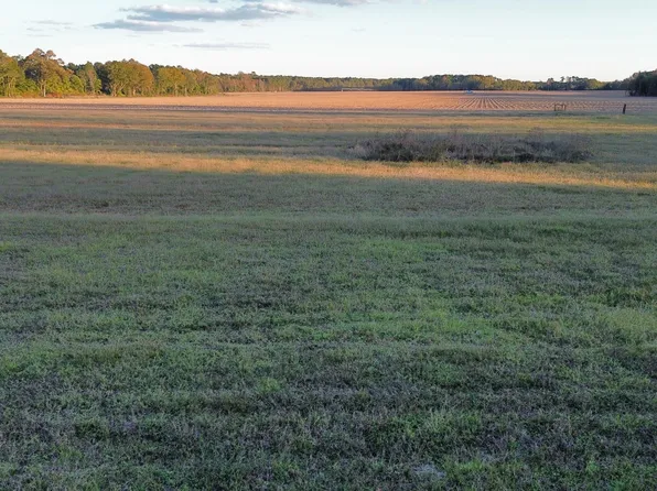 Binnicker Bridge Rd, Cope, SC 29038