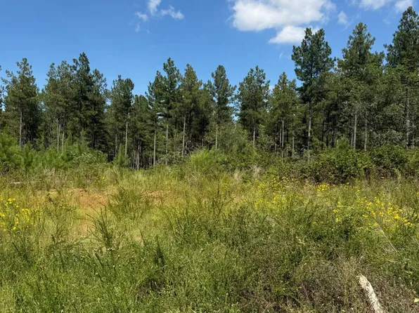 (undisclosed Address), Chatham, VA 24531