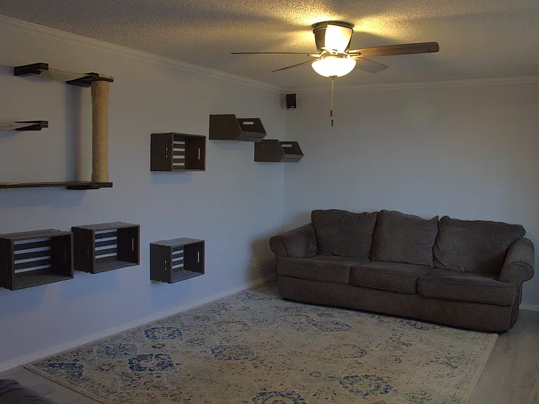 Livingroom (sofa, run, and cat wall not included