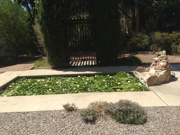 Pond on property