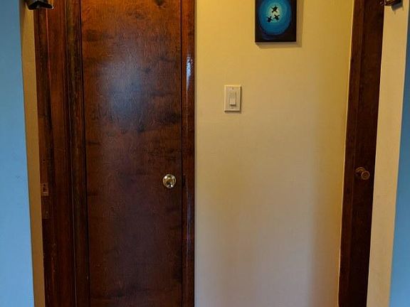 hallway closet and pull down attic stairs