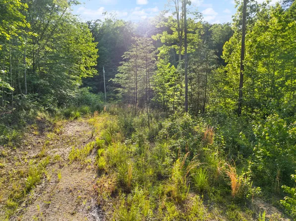 165 Chaneyville Rd, Stanton, KY 40380