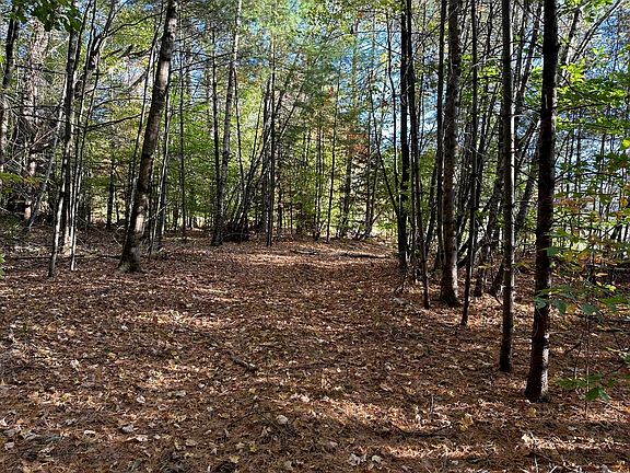 4th image of 19 Sunrise Hill Road