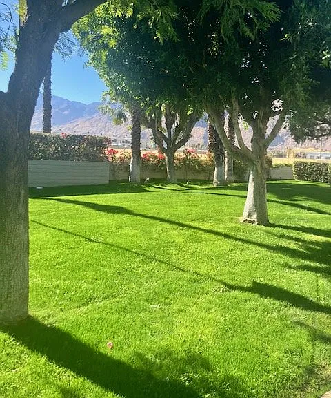 351 N Hermosa Dr #1D2 — Photo 9