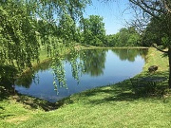 pond