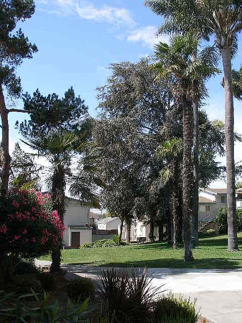 1st image of 1711 Tanager Ave APT 708