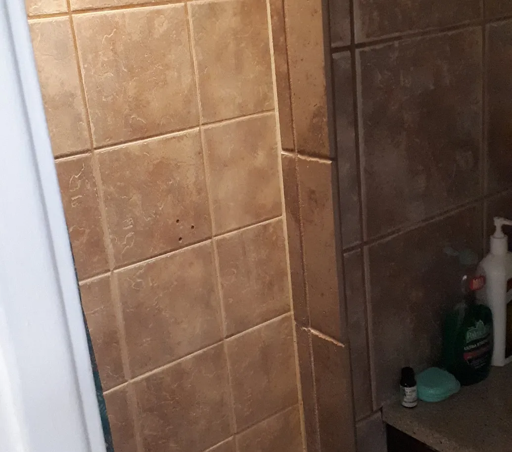 1 bed, 1005 sqft, $1,000 — Photo 3