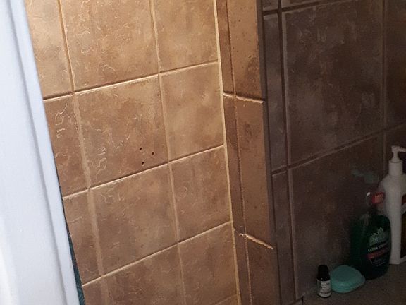 3rd image of 5335 Palmetto Rd