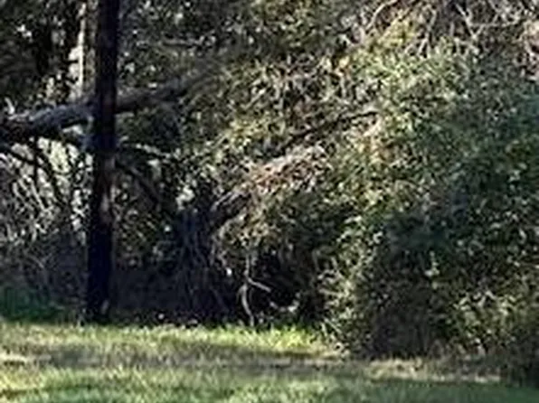 LOT 24 Clark Rd Lot 24, Plantersville, TX 77363