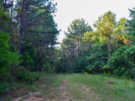 Compass South Land Sales Alabama Cr 57 Tract 05