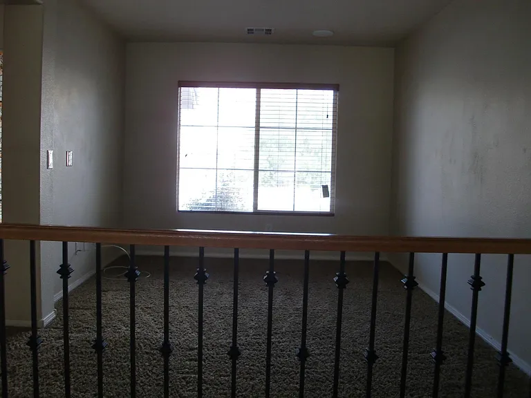 10611 Timber Stand St — Photo 5