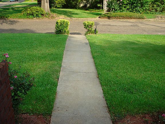 View From Front Door