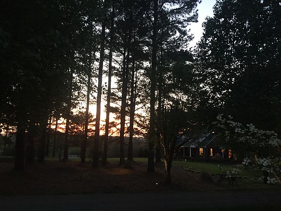 Sunset view