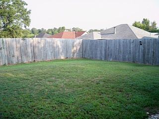 Back yard