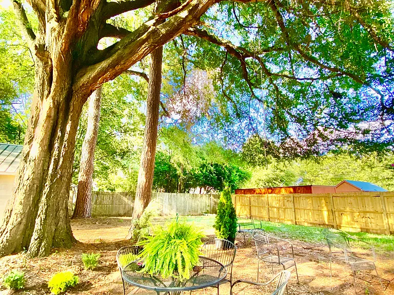1217 Sunset Ave — Photo 27
