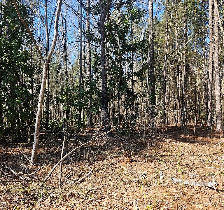 1st image of 0 Hunter Mill Rd