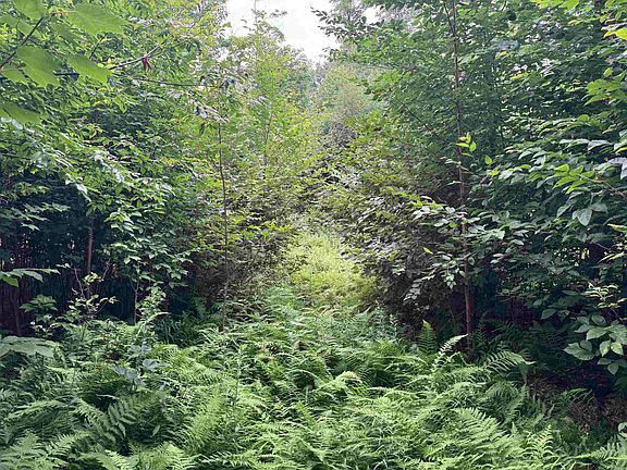 2nd image of 185 Valley View Road
