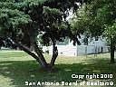 3rd image of 303 Freeman Dr