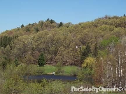 View of pond from house
