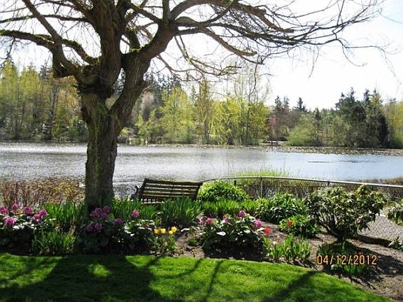 Lake from back yard