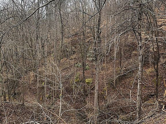 2nd image of 14874 State Route 217