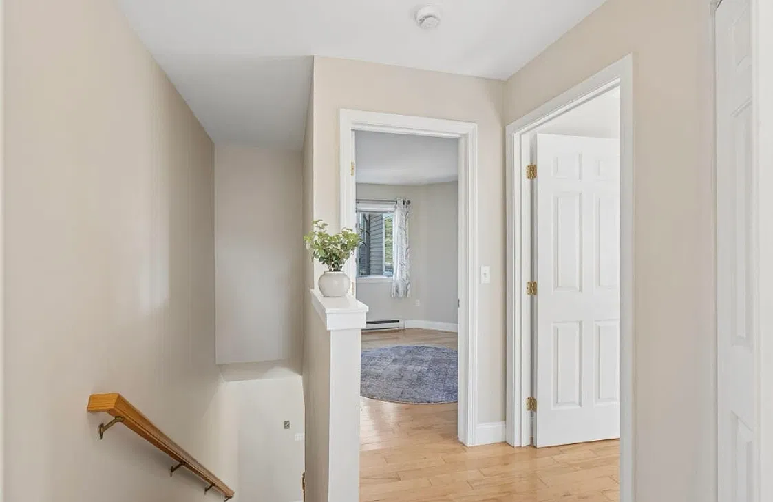2 bed, 1.5 bath, 864 sqft, $3,000 — Photo 3