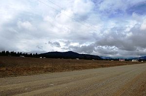 1st image of Nka East Yellow Pine Ave