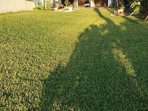 5th image of 2800 S Peninsula Dr