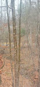 0 Turners Creek Rd, Ferrum, VA, 24088