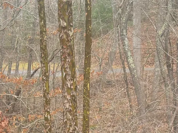 0 Turners Creek Rd, Ferrum, VA 24088