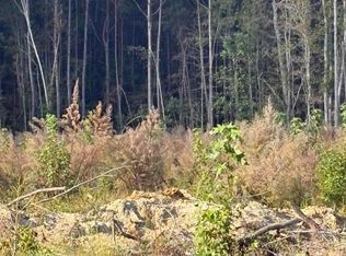 0 McAllister Rd, Kingstree, SC 29556