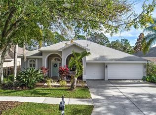 10011 Bennington Dr, Tampa, FL 33626