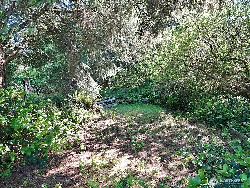3rd image of 223 Muskrat Court SW