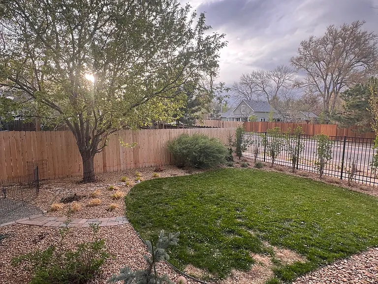 Front yard