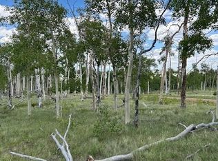 807 Bolster Drive LOT 1085, Hartsel, CO 80449