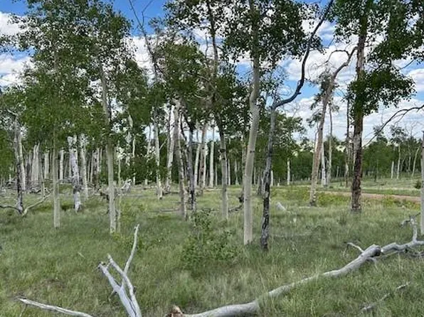 807 Bolster Drive LOT 1085, Hartsel, CO 80449