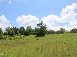 4801 Jason Patrick Rd, Senatobia, MS 38668