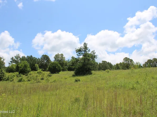 4801 Jason Patrick Rd, Senatobia, MS 38668