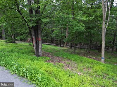 494 Cayuga Trl, Hedgesville, WV, 25427