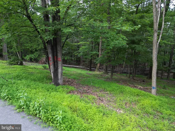 494 Cayuga Trl, Hedgesville, WV 25427